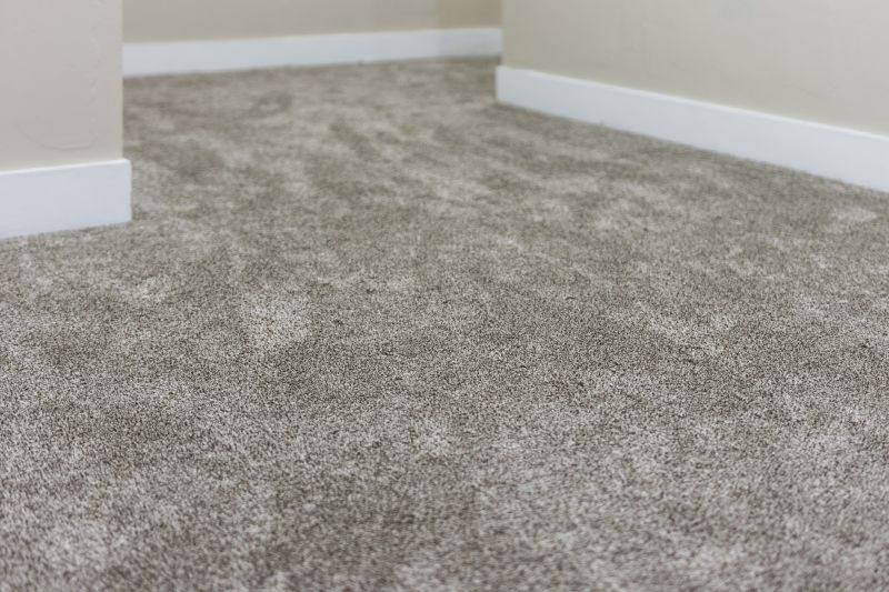 Freshly Installed Carpet